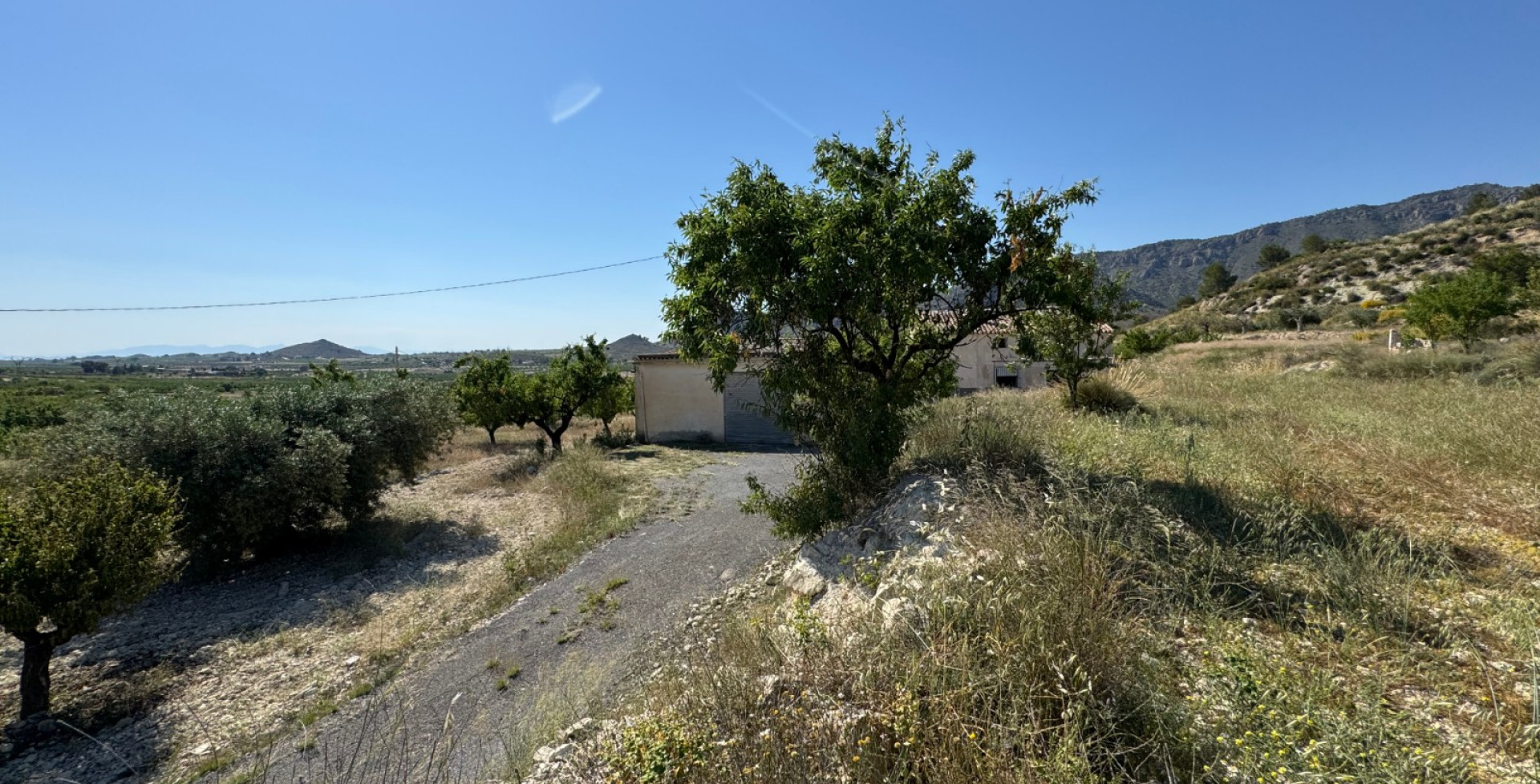 Venta - Casa de Campo - Ricote