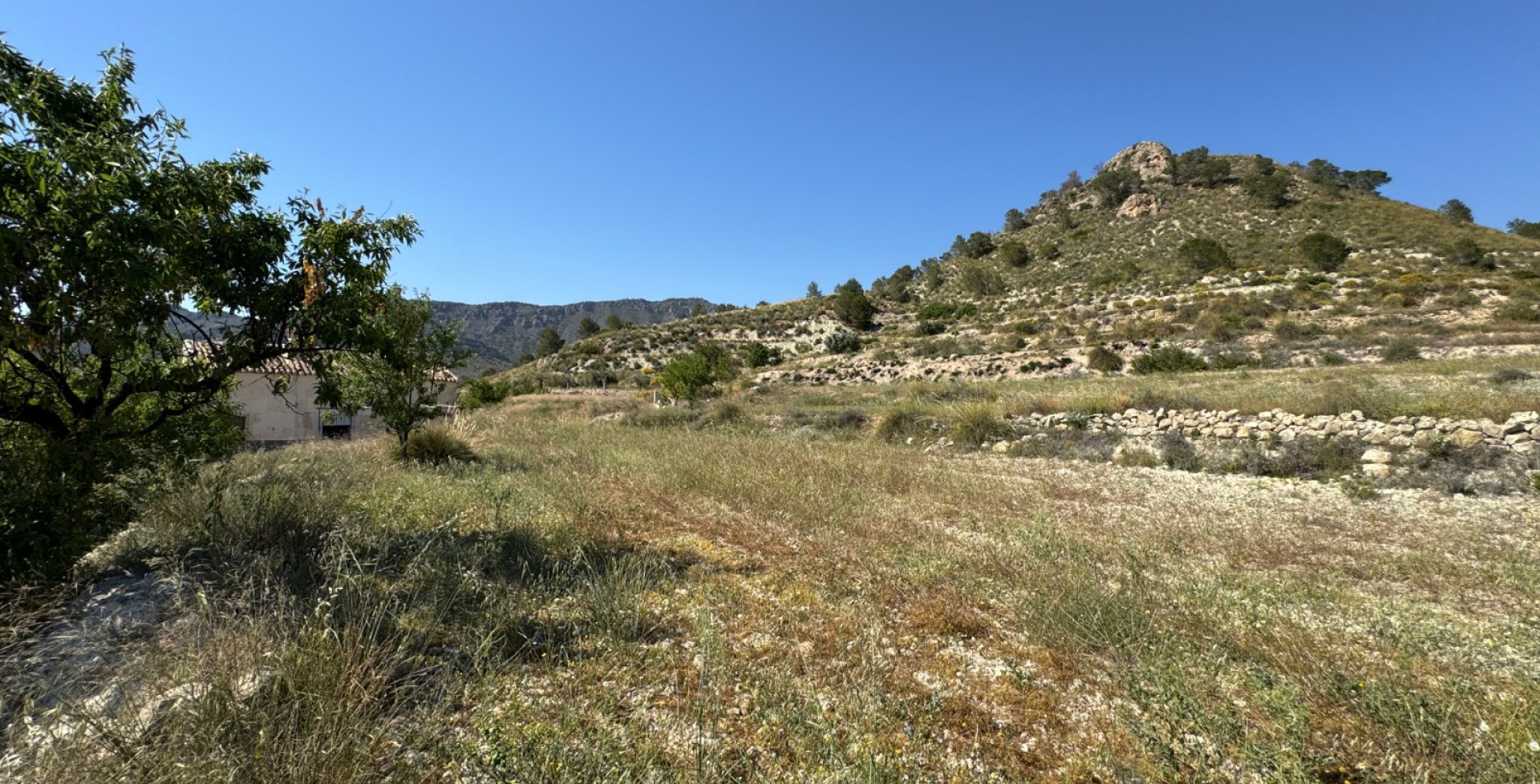 Venta - Casa de Campo - Ricote