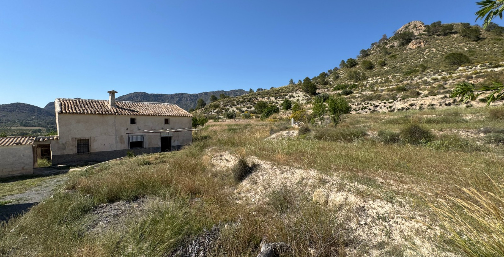 Venta - Casa de Campo - Ricote