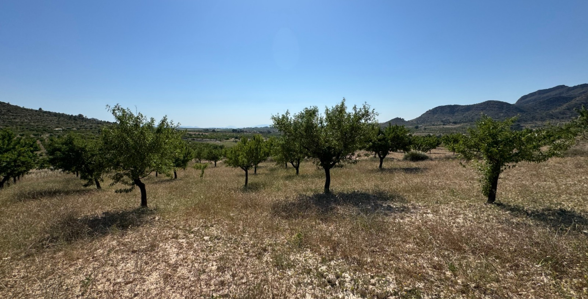 Venta - Casa de Campo - Ricote