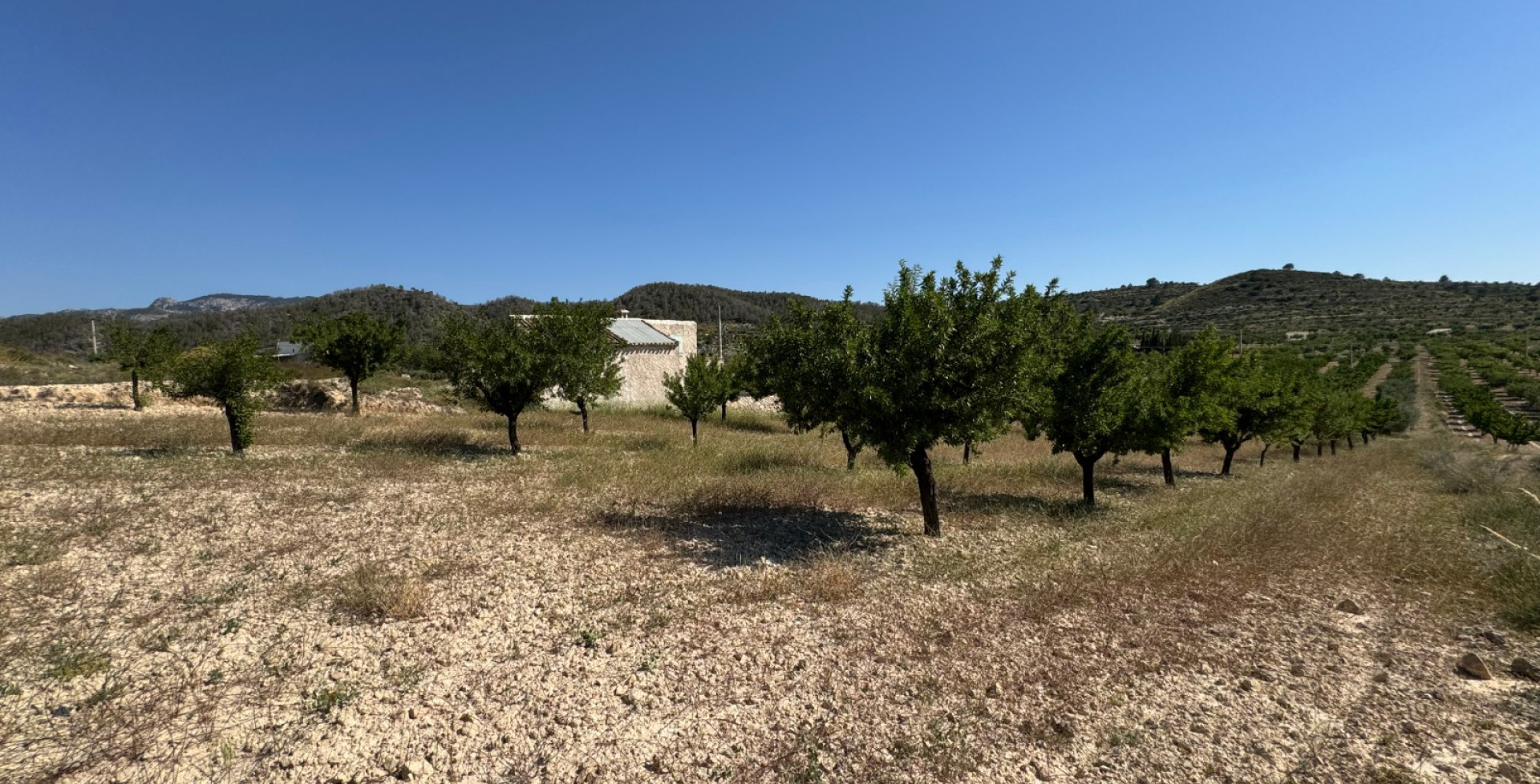 Venta - Casa de Campo - Ricote