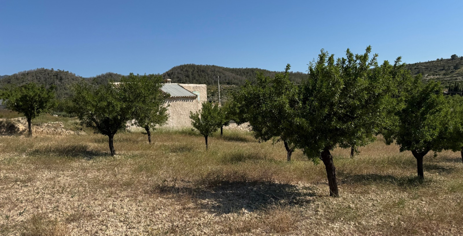 Venta - Casa de Campo - Ricote