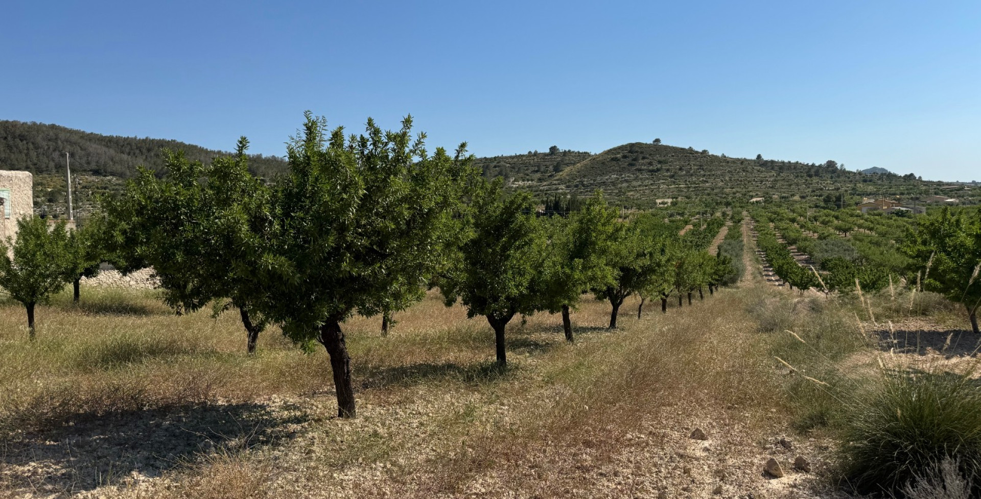 Venta - Casa de Campo - Ricote