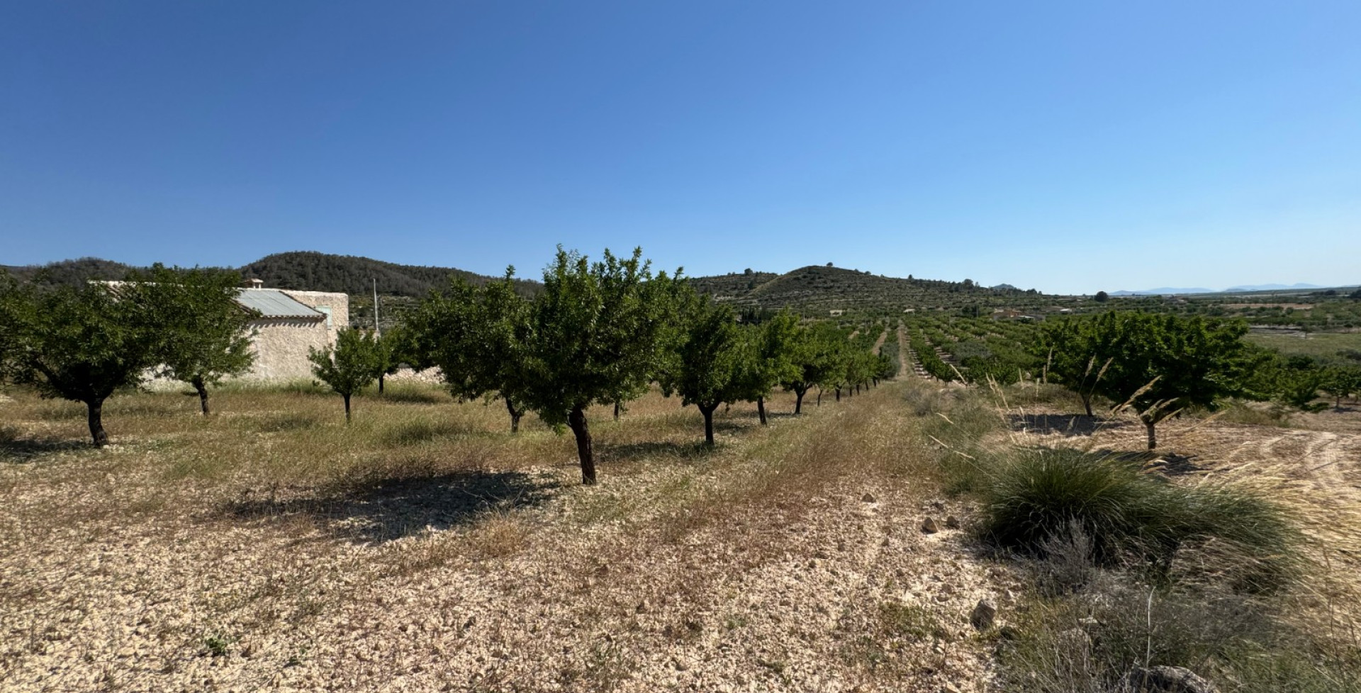 Venta - Casa de Campo - Ricote