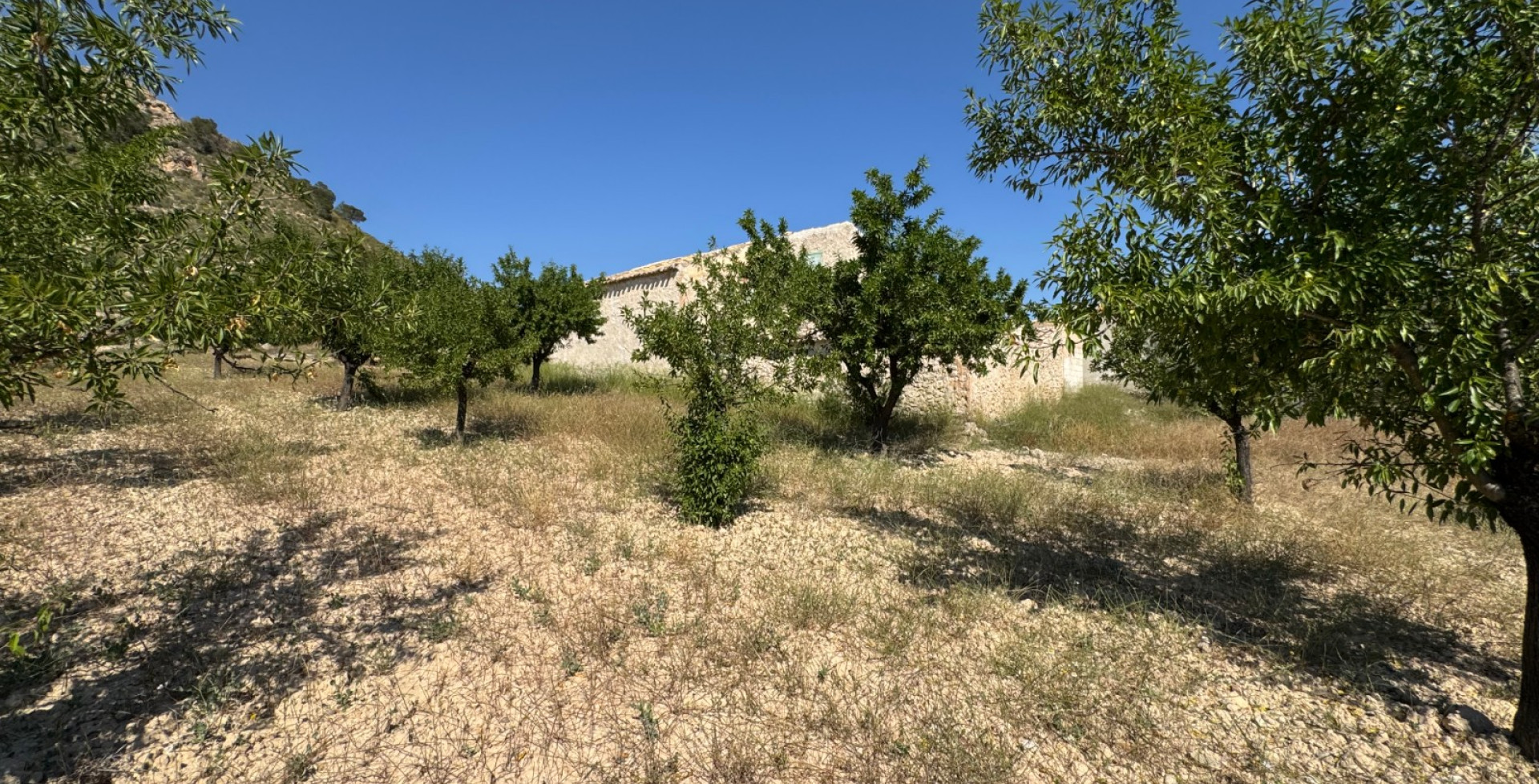 Venta - Casa de Campo - Ricote