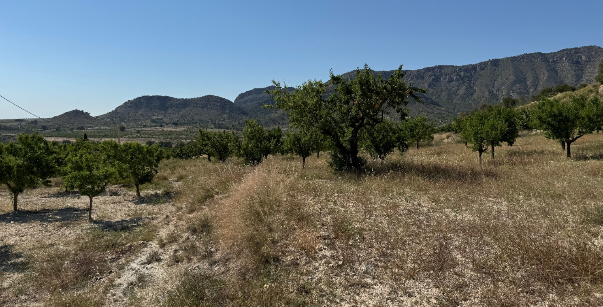 Venta - Casa de Campo - Ricote