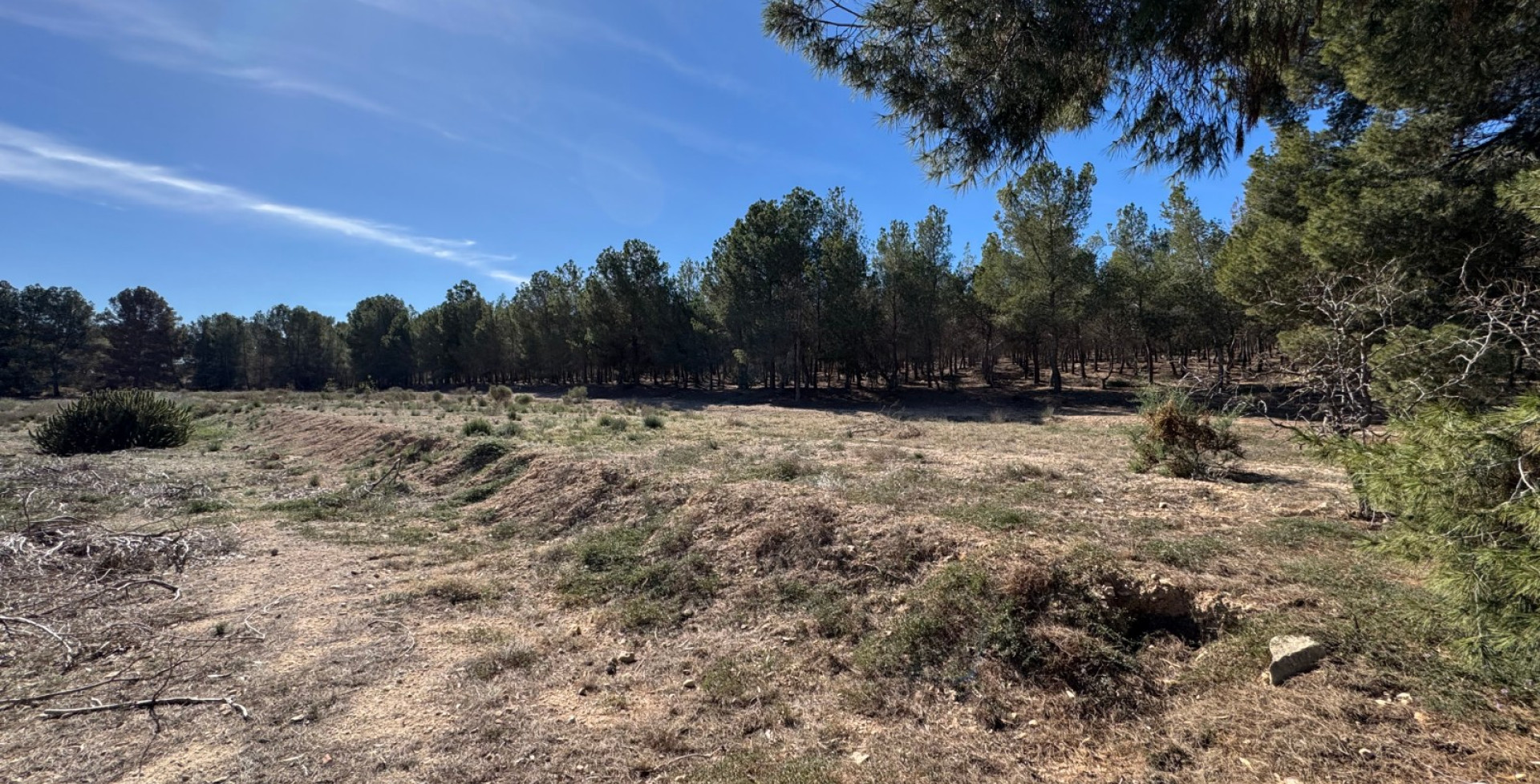 Venta - Casa de Campo - Blanca