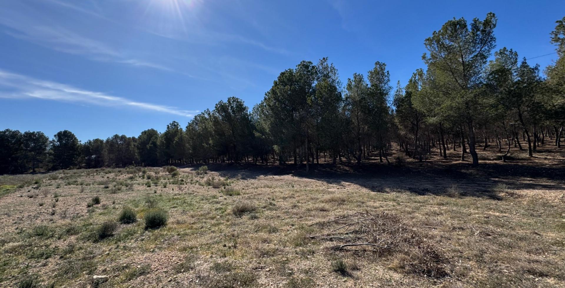 Venta - Casa de Campo - Blanca