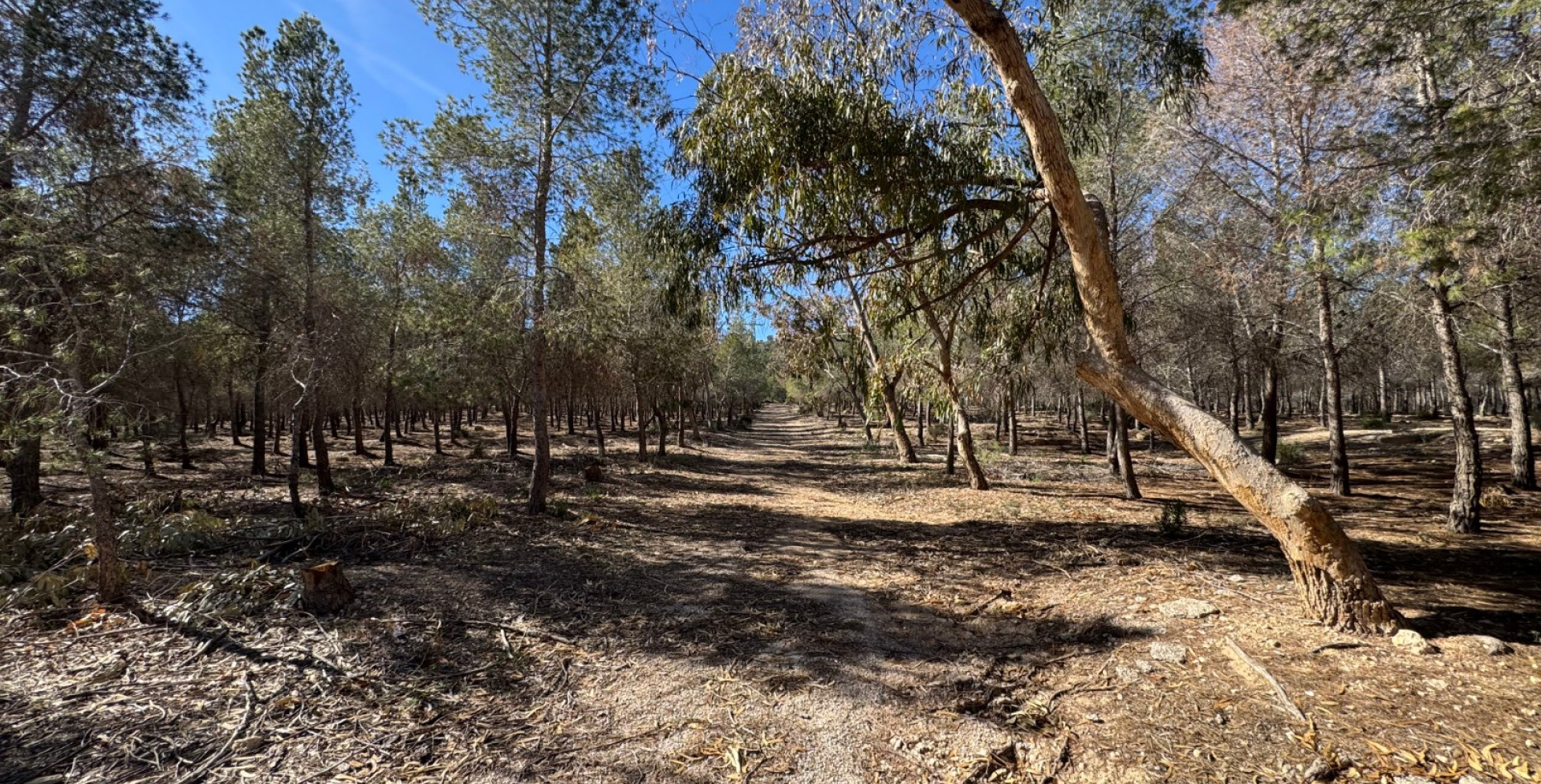 Venta - Casa de Campo - Blanca