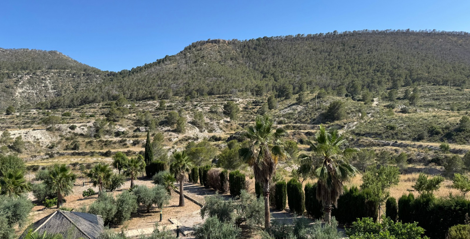 For Sale - Country House - Ojós - Ojos