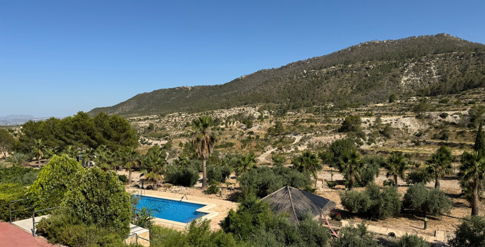 For Sale - Country House - Ojós - Ojos