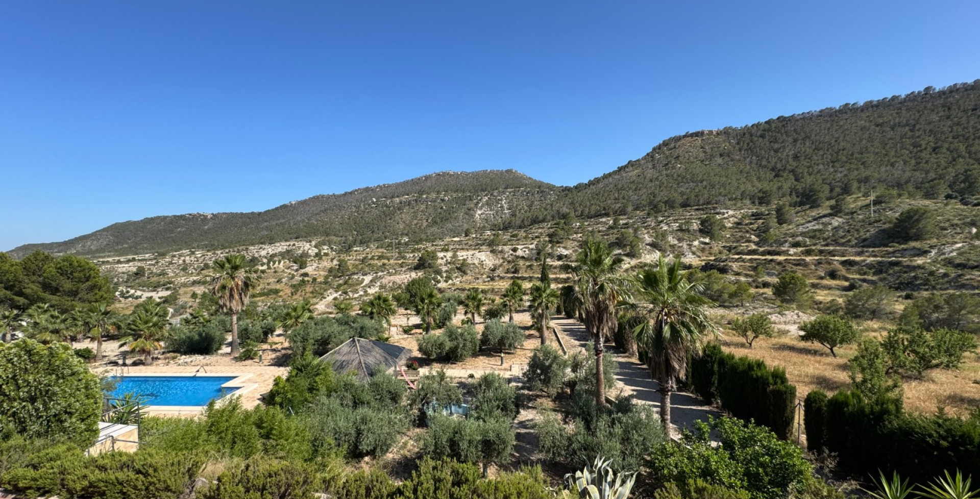 For Sale - Country House - Ojós - Ojos