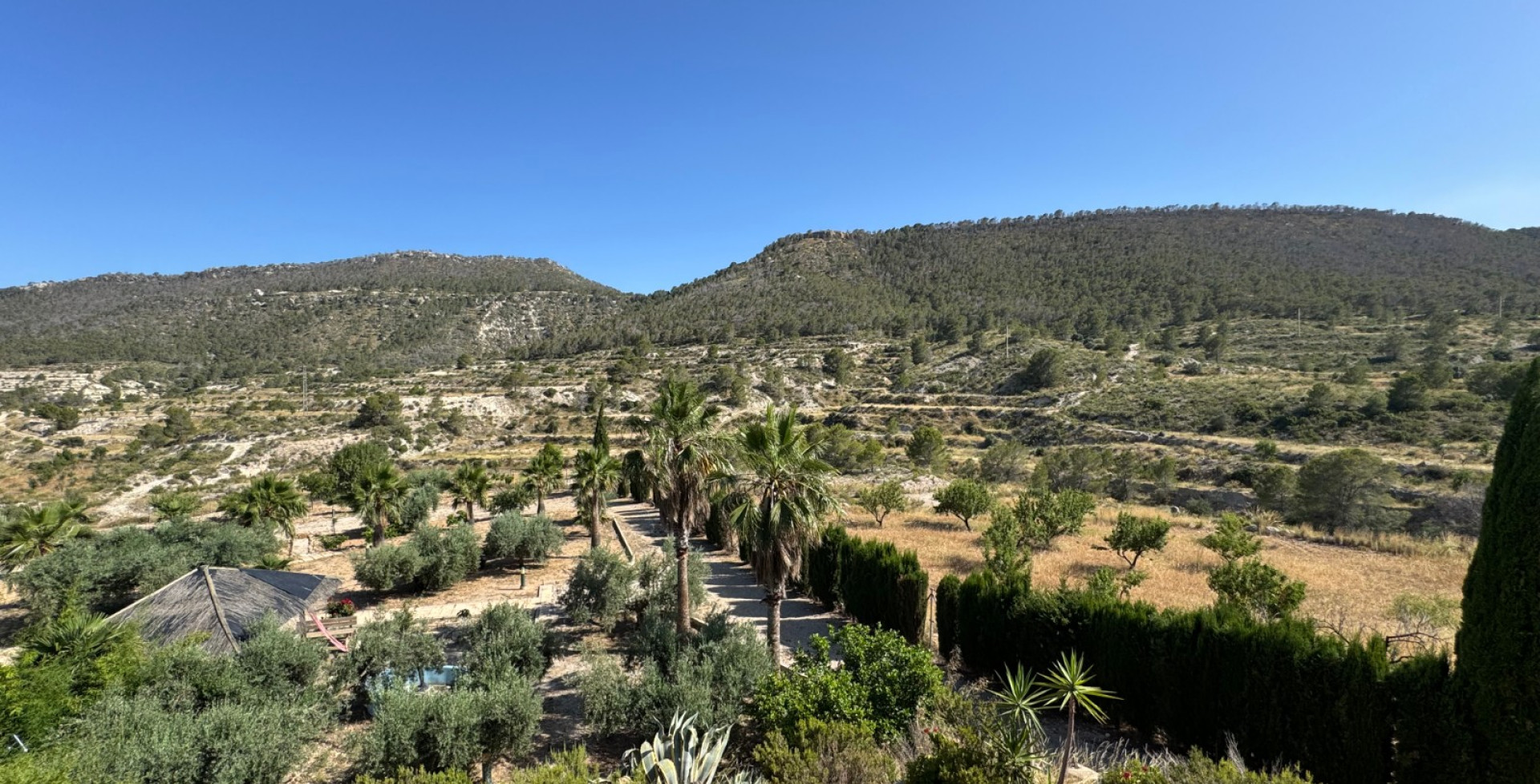 For Sale - Country House - Ojós - Ojos
