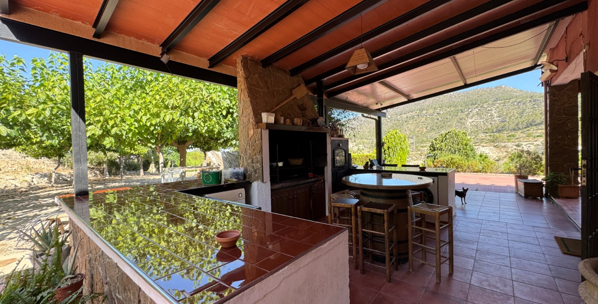 For Sale - Country House - Ojós - Ojos