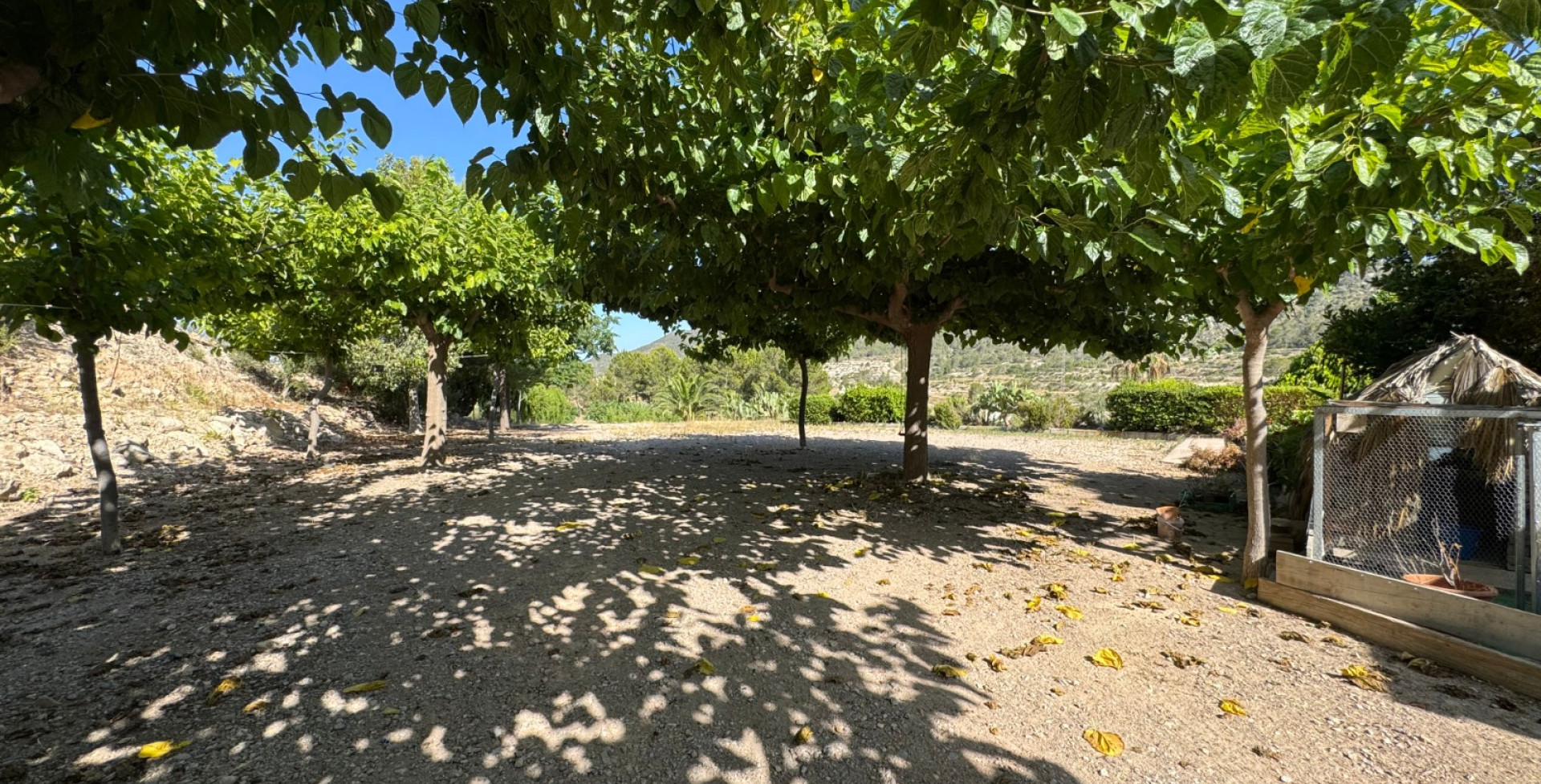 For Sale - Country House - Ojós - Ojos