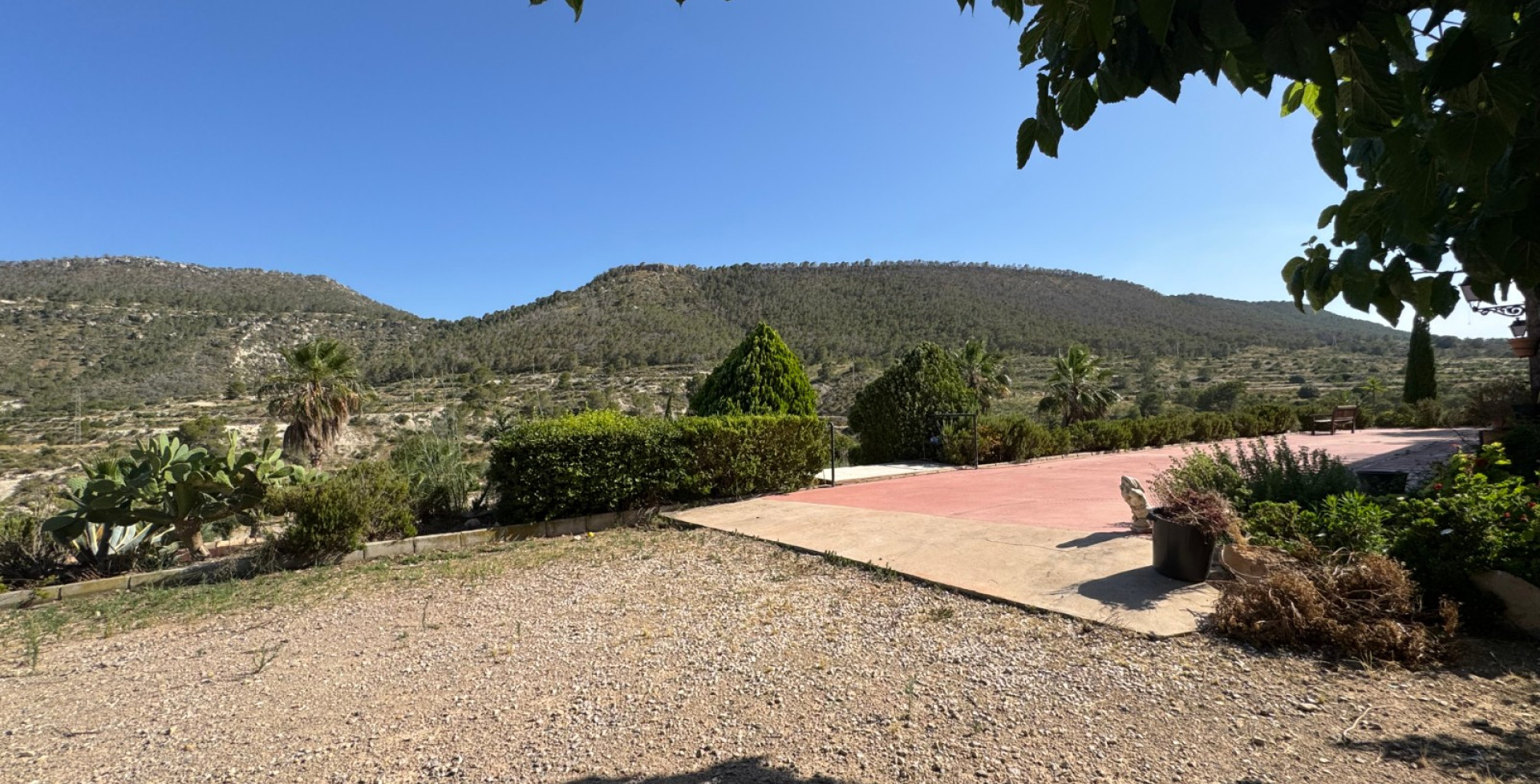 For Sale - Country House - Ojós - Ojos