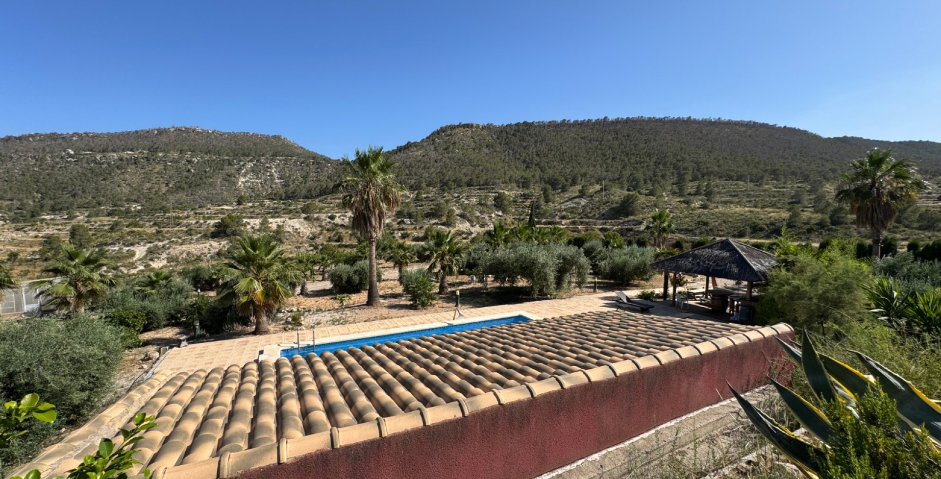For Sale - Country House - Ojós - Ojos