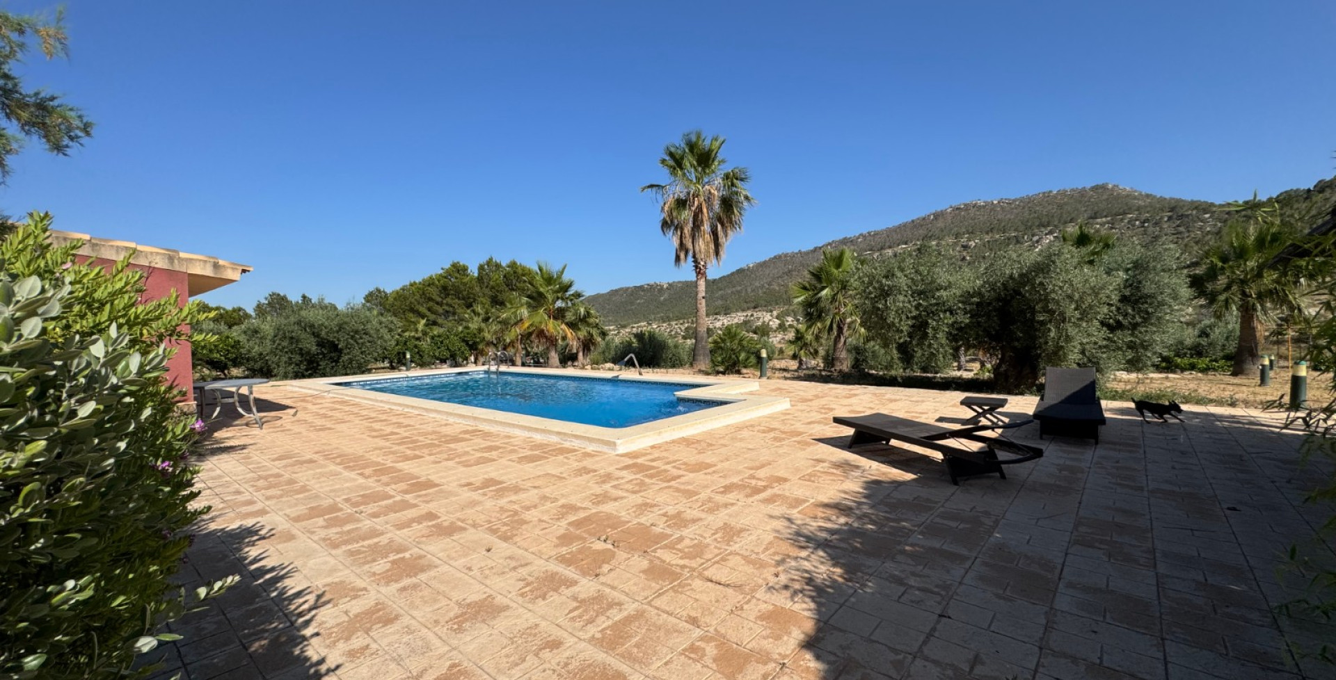 For Sale - Country House - Ojós - Ojos