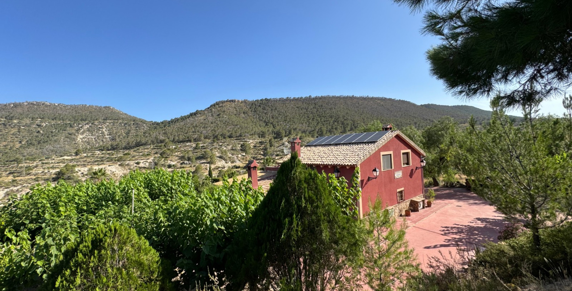 For Sale - Country House - Ojós - Ojos