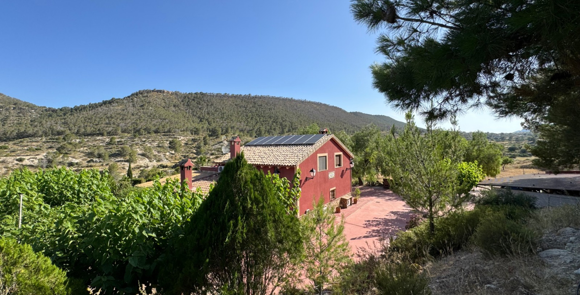 For Sale - Country House - Ojós - Ojos
