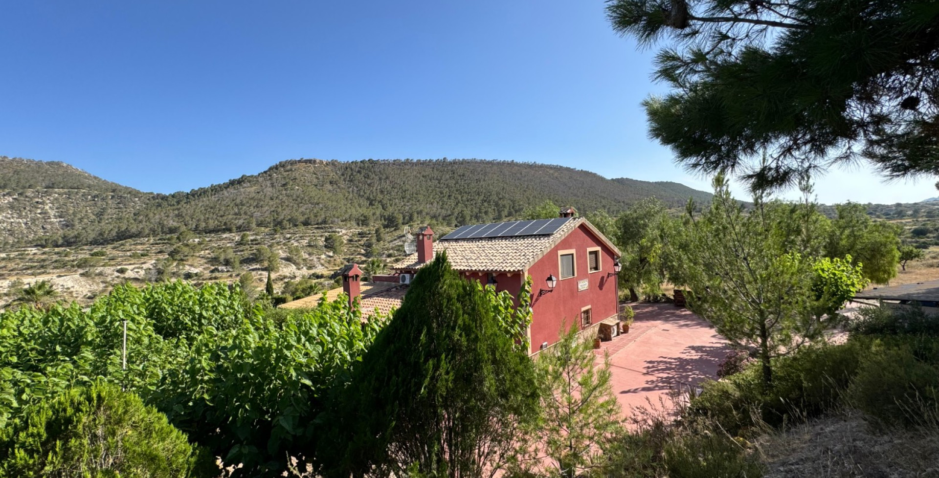For Sale - Country House - Ojós - Ojos