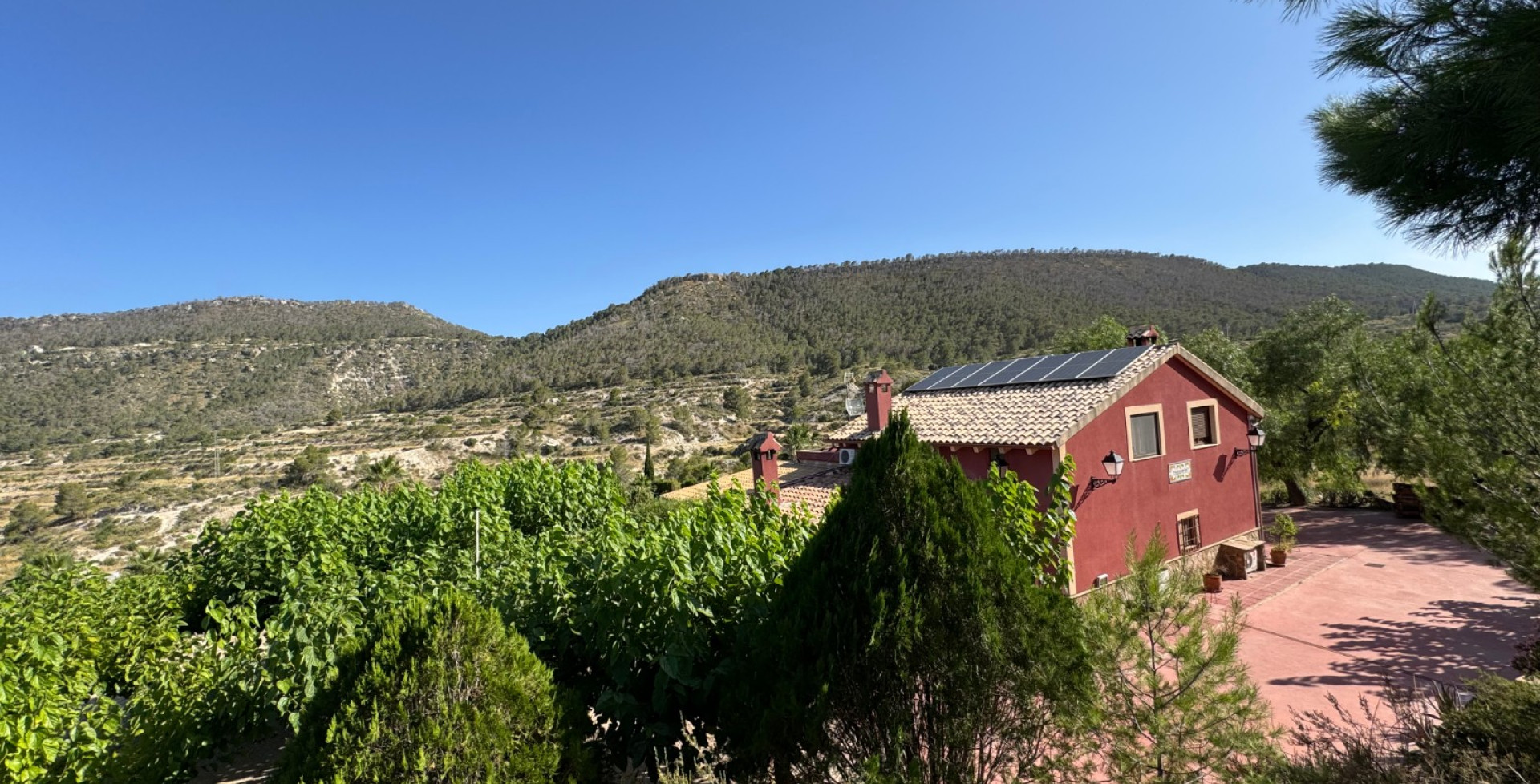 For Sale - Country House - Ojós - Ojos