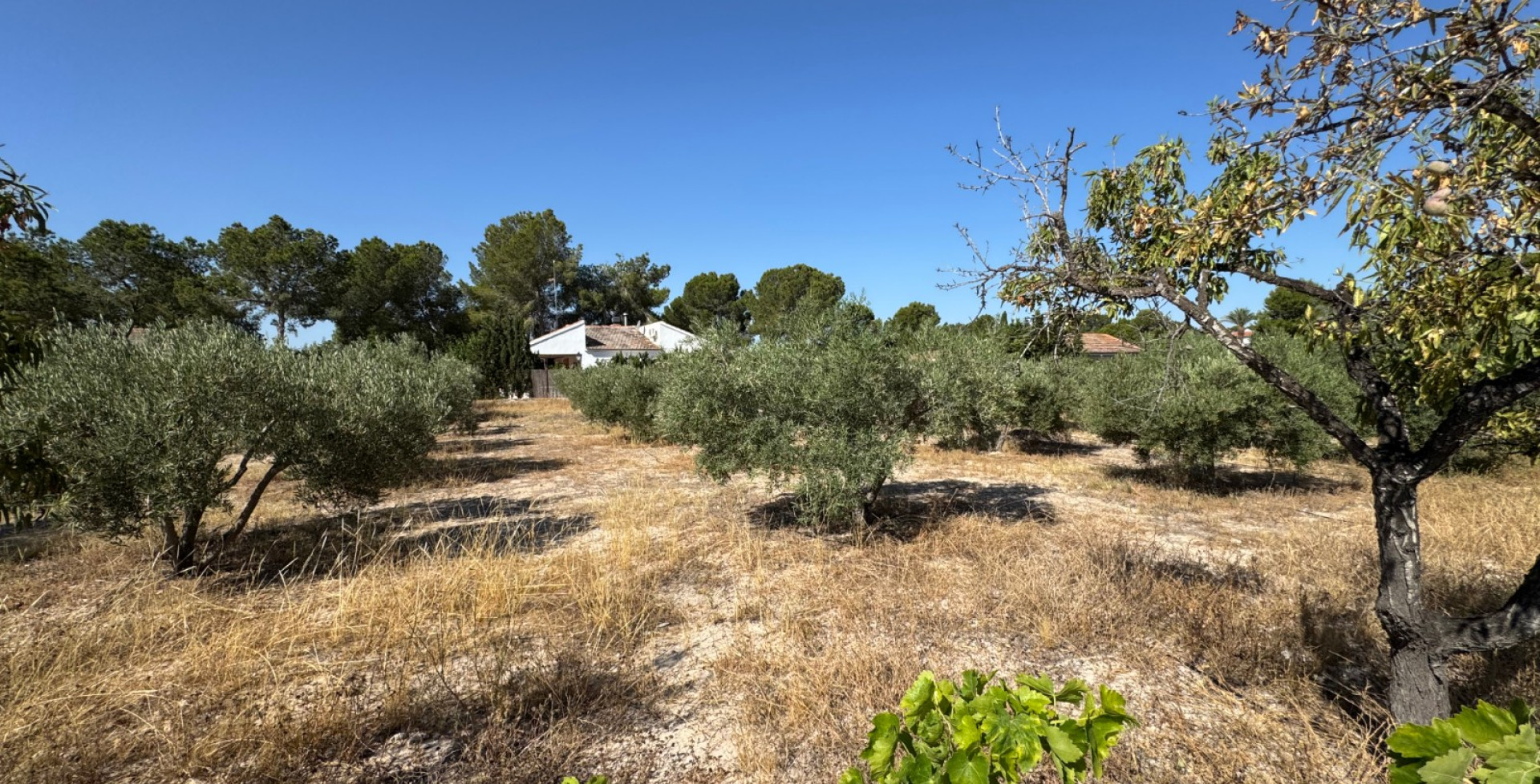For Sale - Detached villa - Molina de Segura - Molina de Segura 