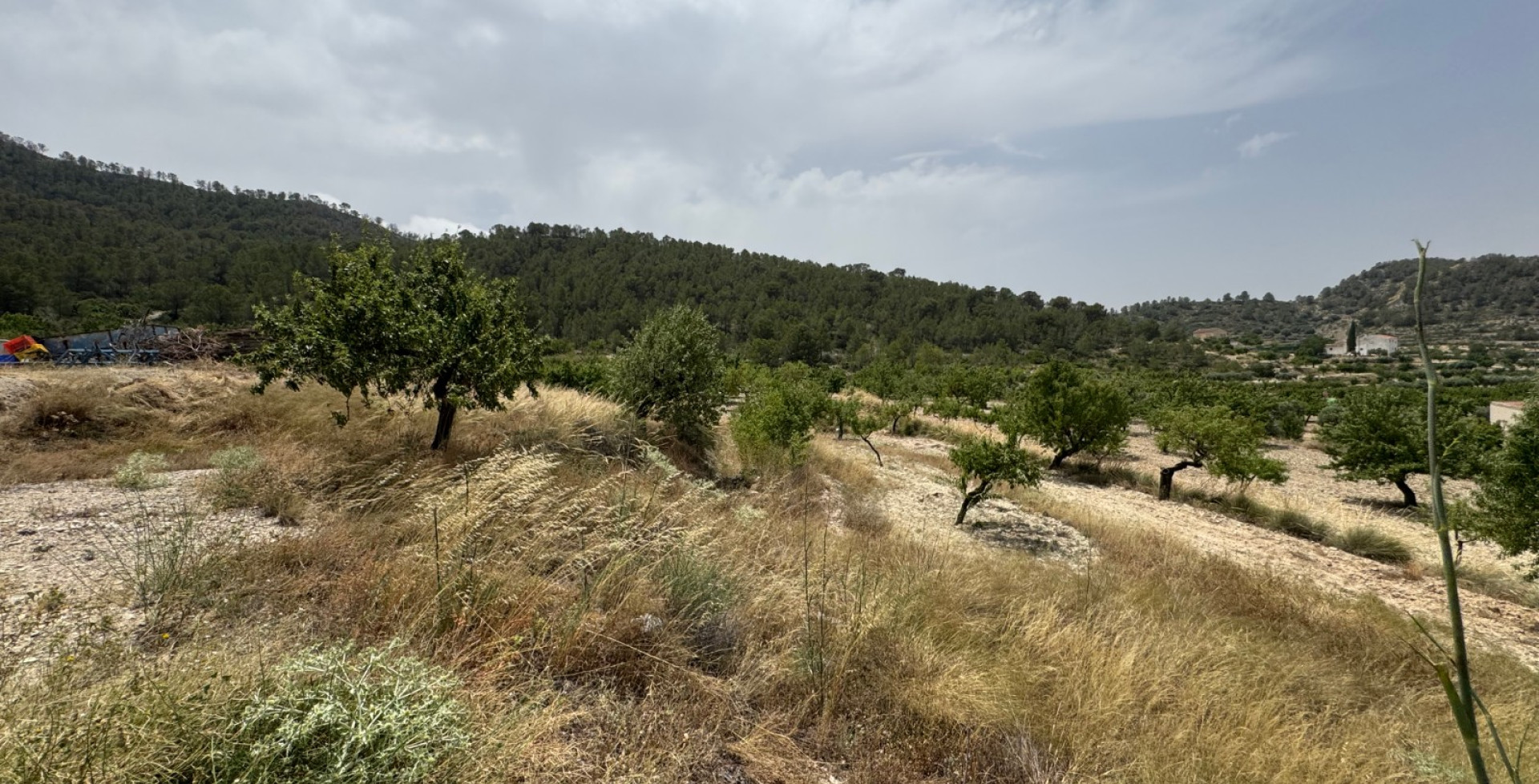 For Sale - Country House - Ricote