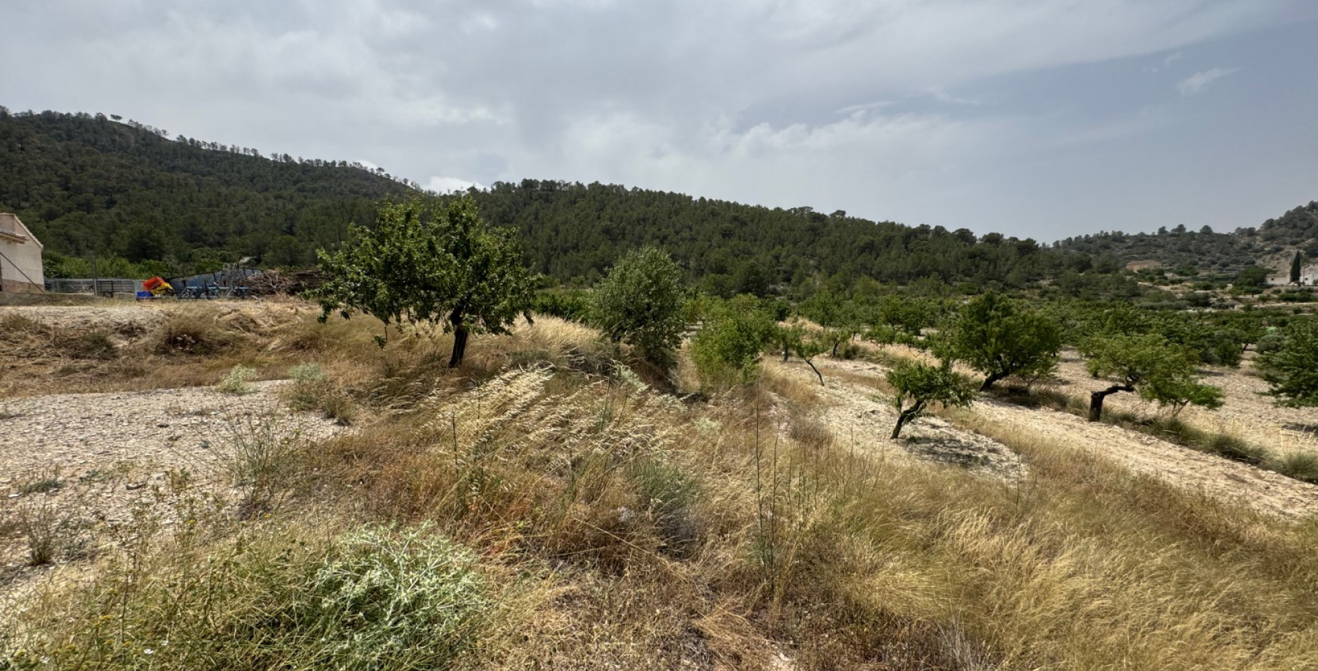 For Sale - Country House - Ricote