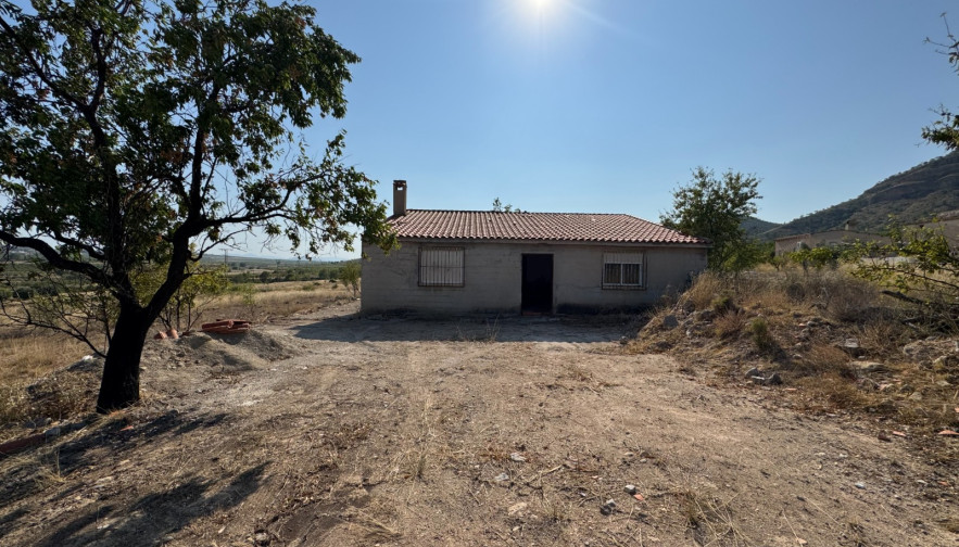 Maison de campagne - À vendre - Ricote - Ricote