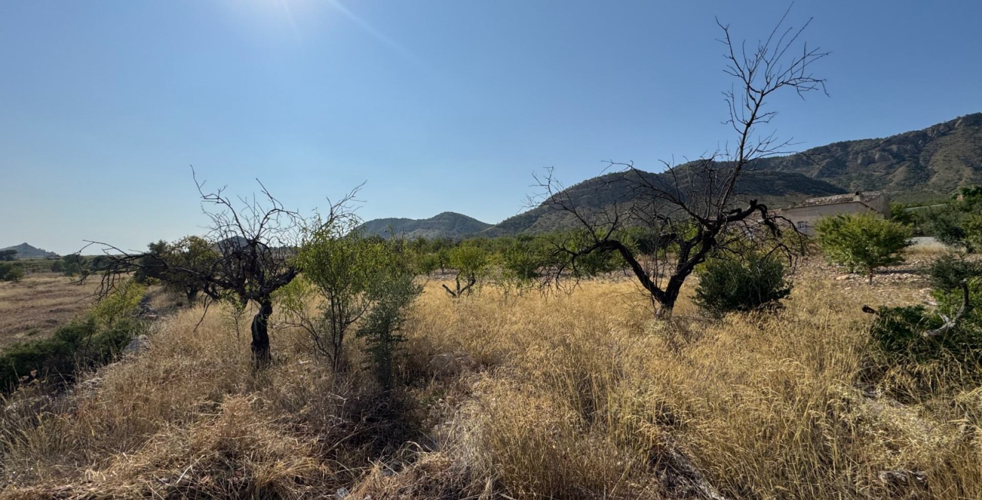 For Sale - Country House - Ricote