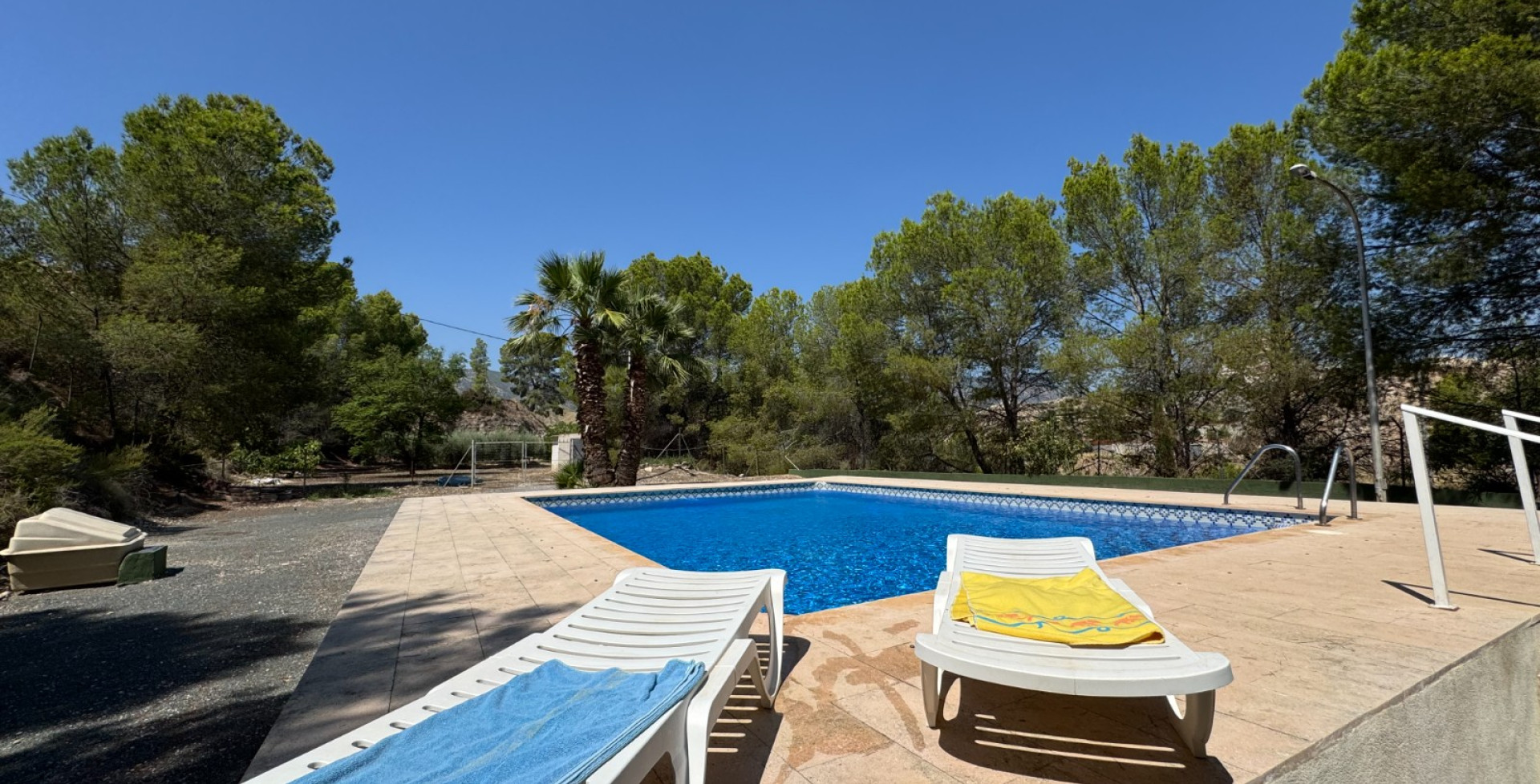For Sale - Country House - Blanca