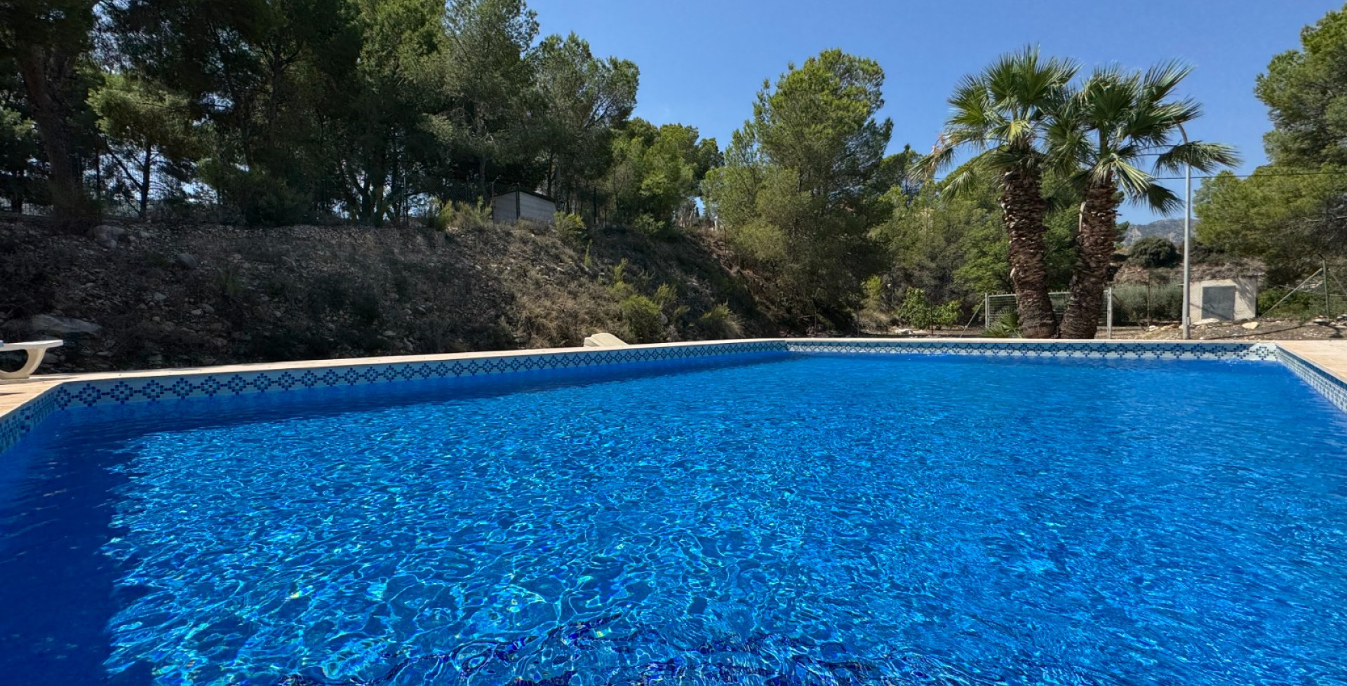 For Sale - Country House - Blanca