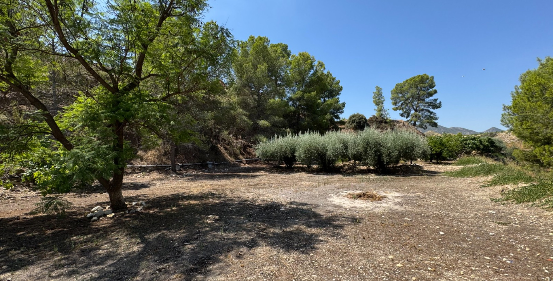 For Sale - Country House - Blanca