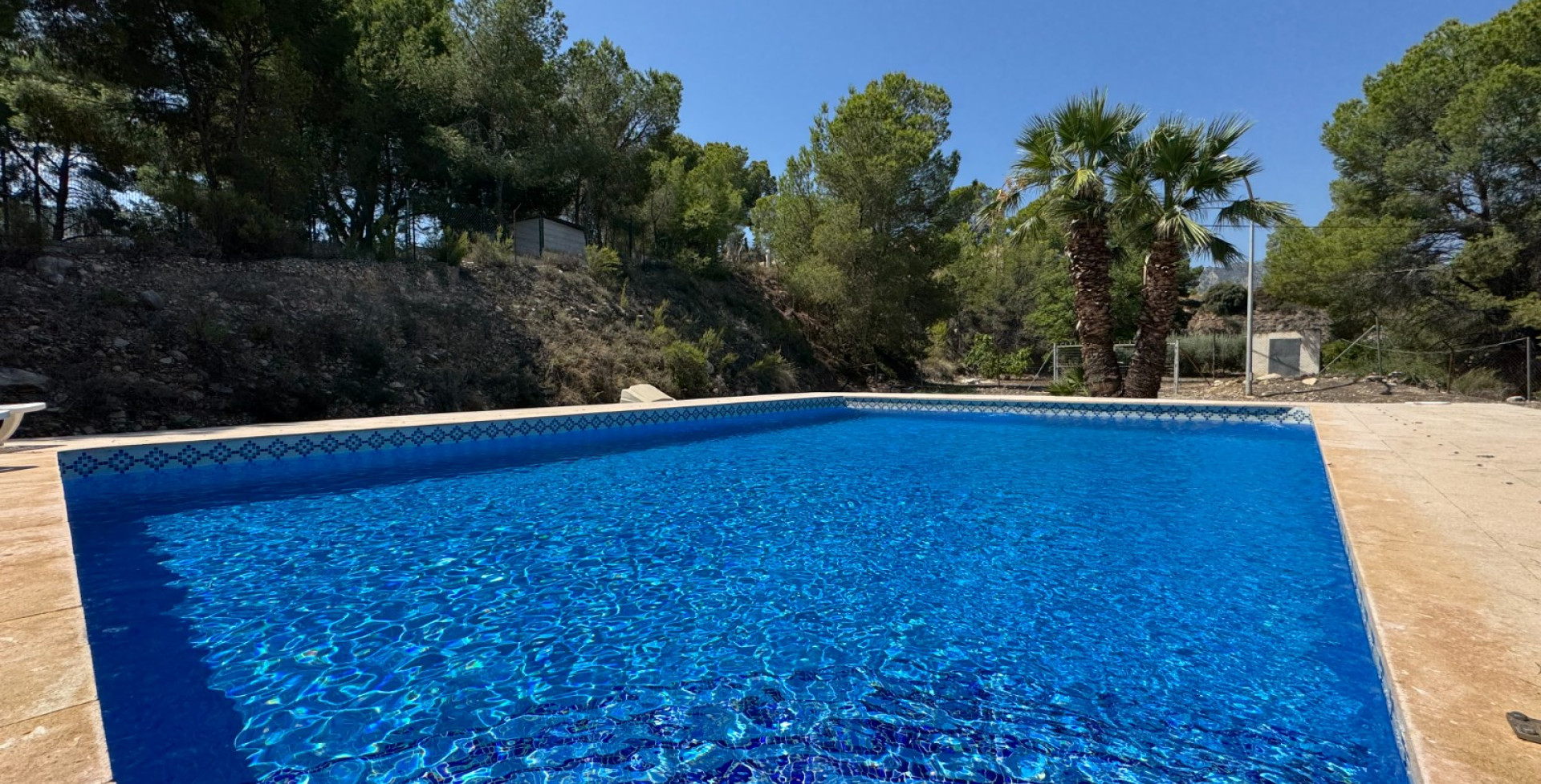 For Sale - Country House - Blanca