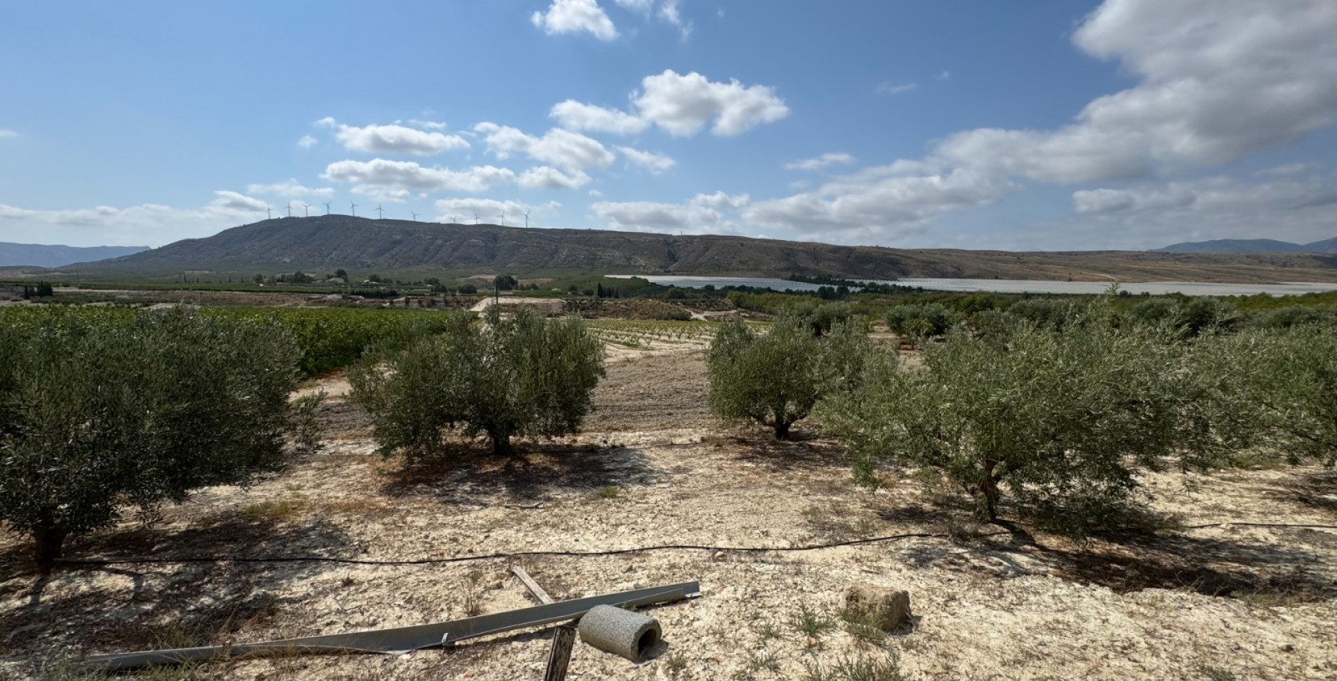 For Sale - Country House - Cieza