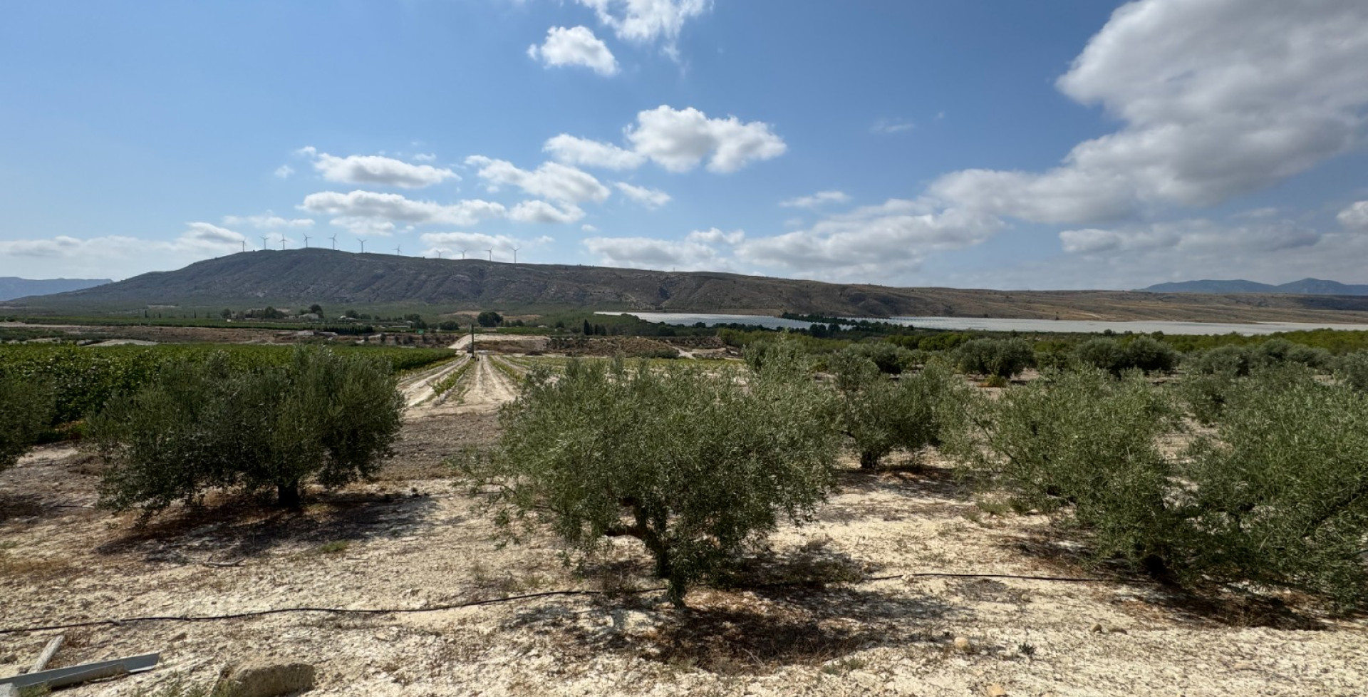 For Sale - Country House - Cieza