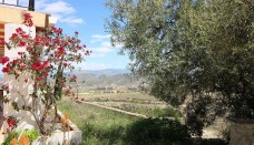 Venta - Casa de Campo - Ricote