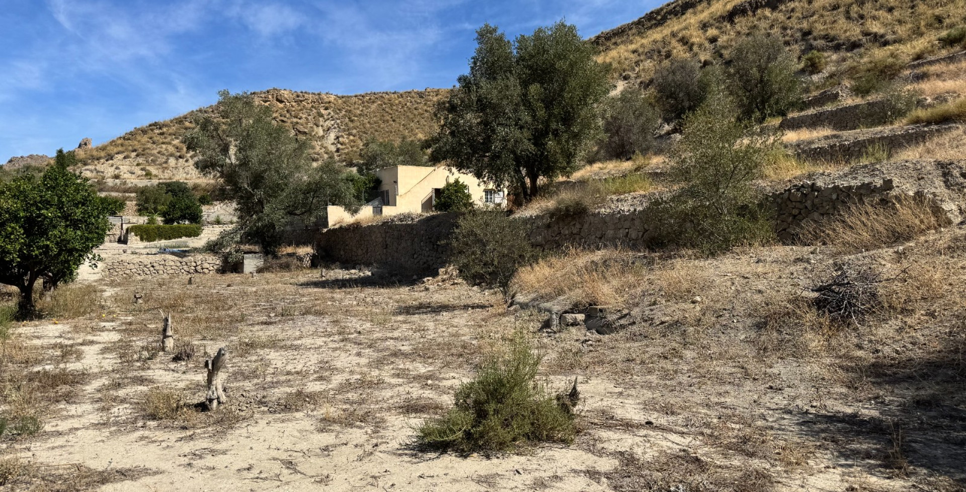 Venta - Casa de Campo - Blanca