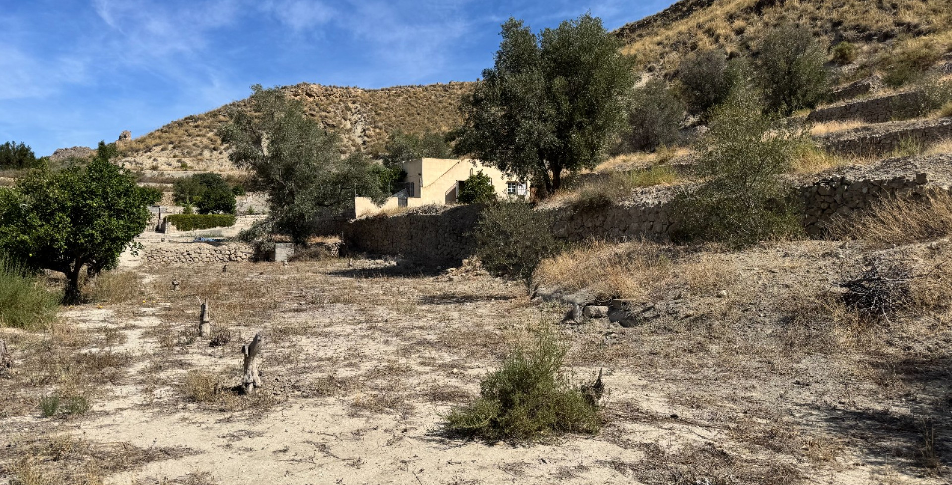 Venta - Casa de Campo - Blanca