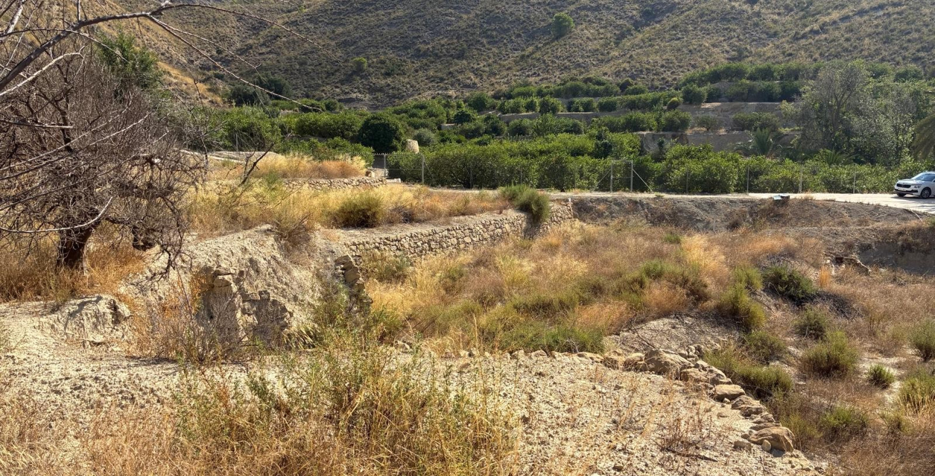 For Sale - Plots - Blanca