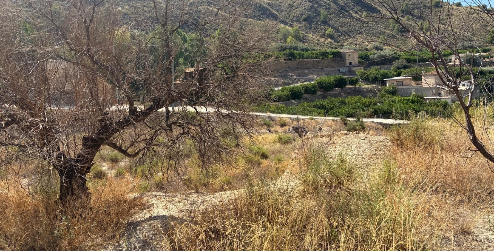 For Sale - Plots - Blanca