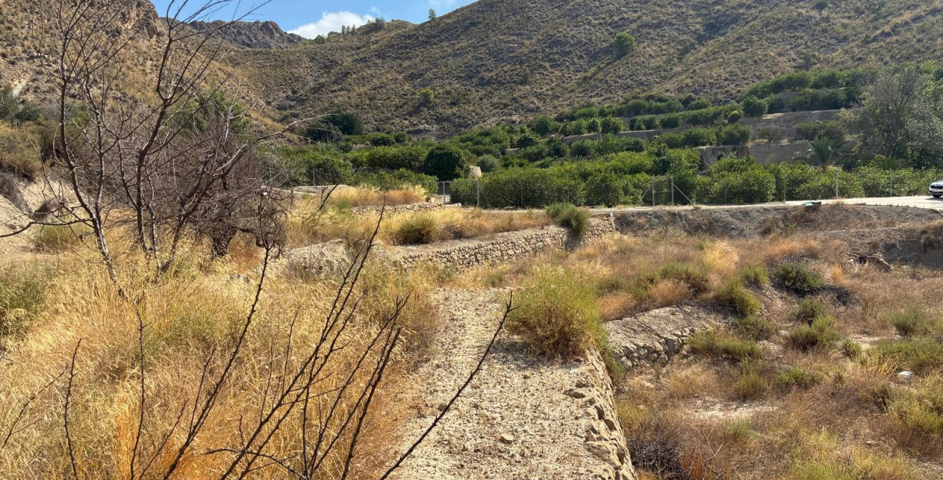 For Sale - Plots - Blanca