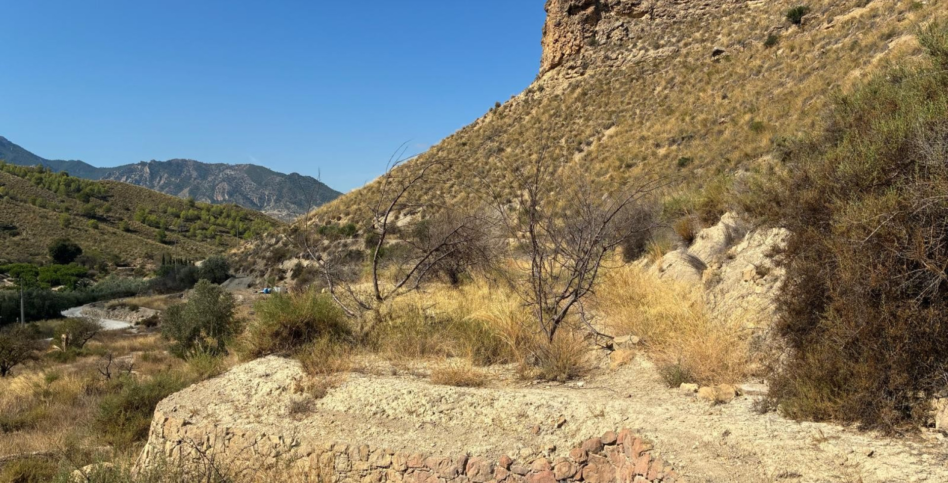 For Sale - Plots - Blanca