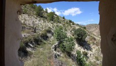 Venta - Casa de Campo - Ricote
