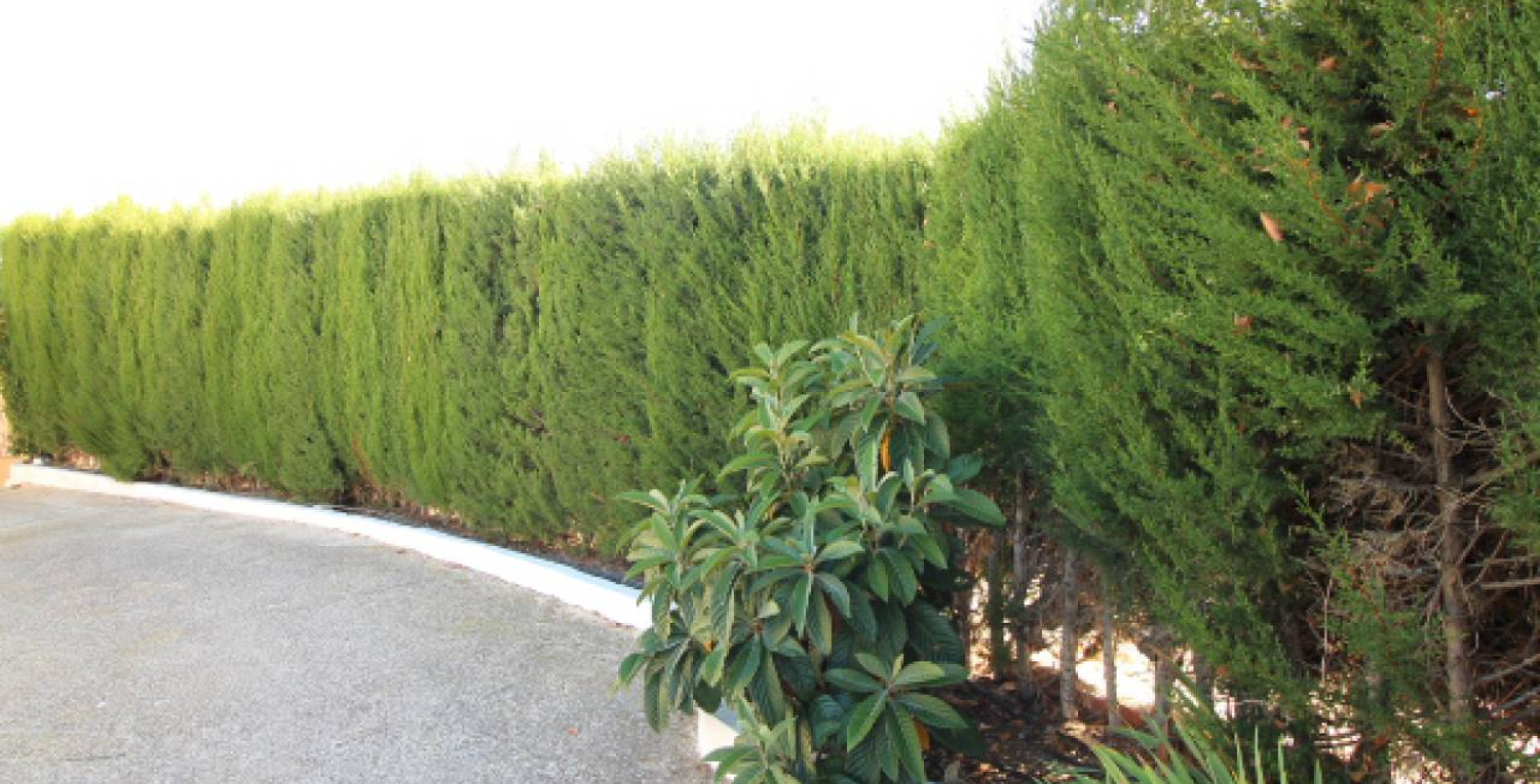 For Sale - Country House - Ricote