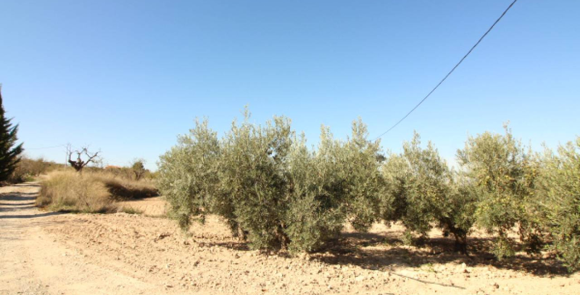 For Sale - Country House - Ricote