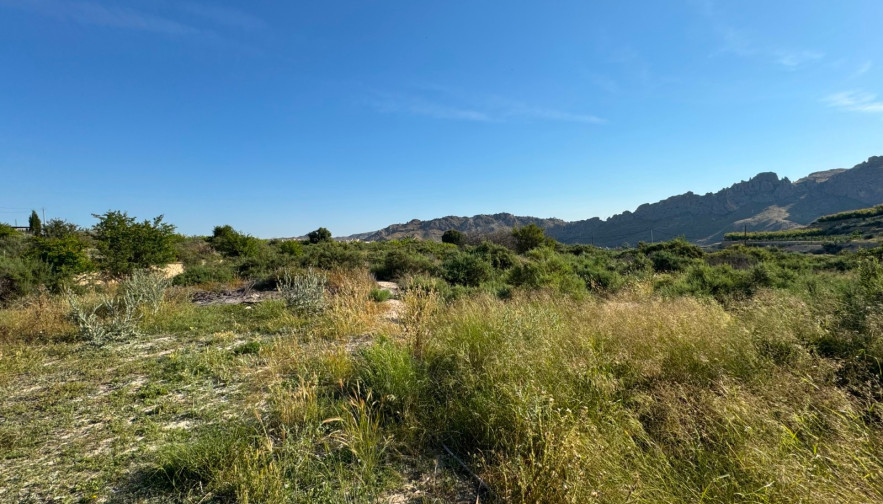 Parcelas edificables  - Venta - Abaran - Abaran