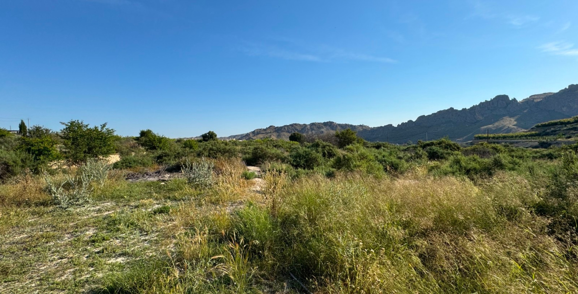 Venta - Parcelas edificables  - Abaran