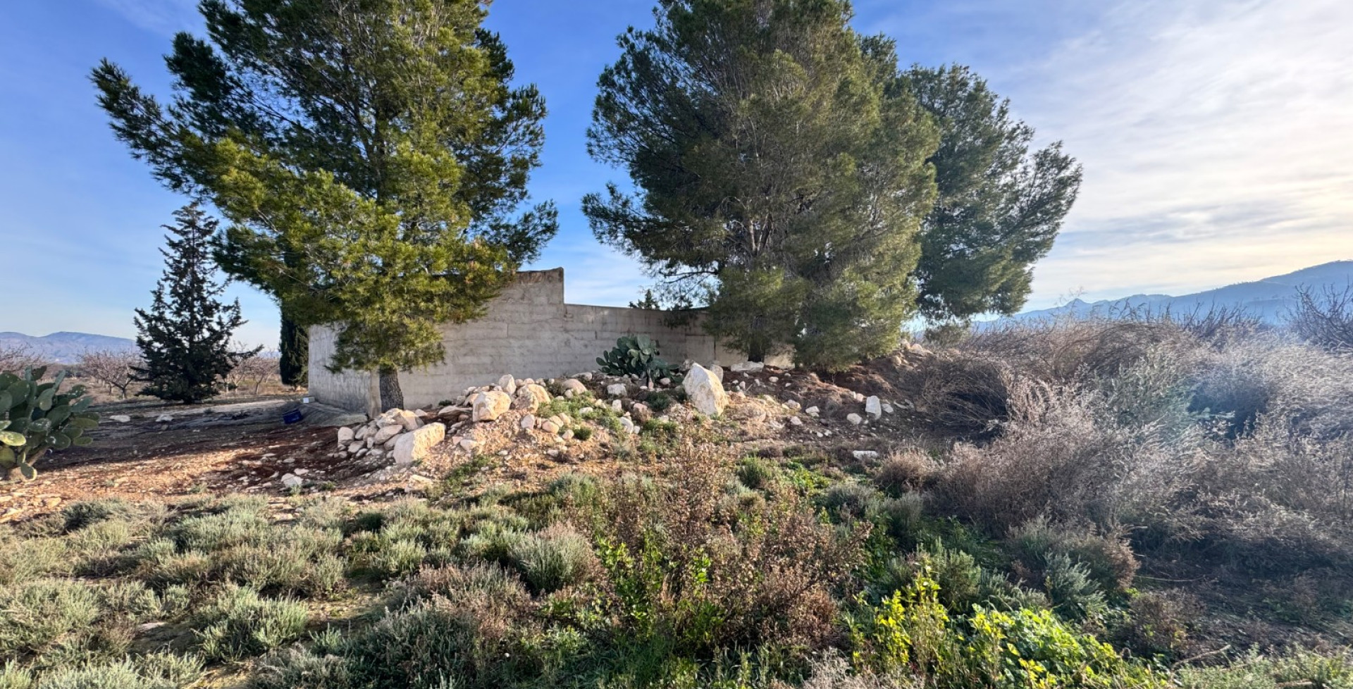 Venta - Almacen  - Abaran